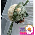 ����� ������� �16 "���� ���������� �����" �� ��� � ��������� -  �������� ������, �������, ��������. ������ ���������� 1-�� ��������� �����.