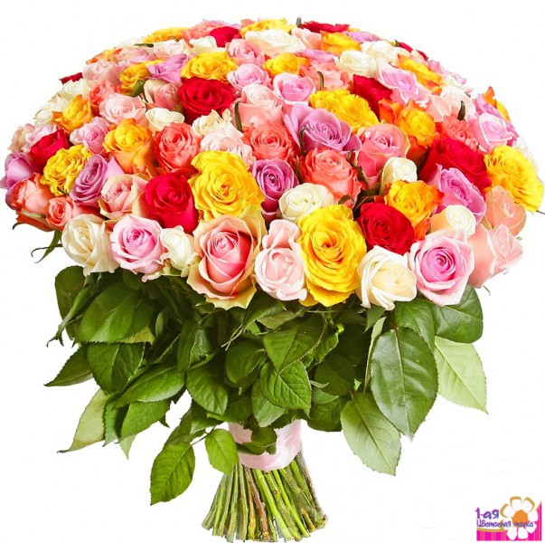Букет из 101 розы разных цветов "Sun Flowers" 50-60 см. Крупный бутон.