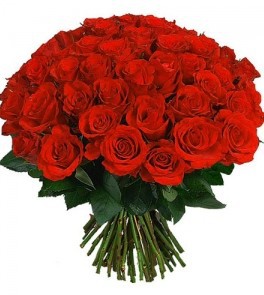 Красные розы Эквадор, 50 см. Крупный бутон