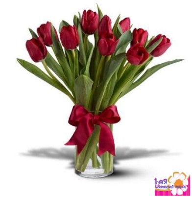 Букет из 11 красных тюльпанов