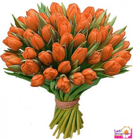 Букет из 35 тюльпанов оранжевого цвета