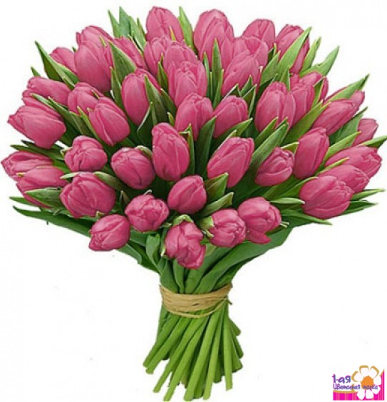 Букет из 35 тюльпанов розового цвета