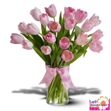 Букет из 19 розовых тюльпанов