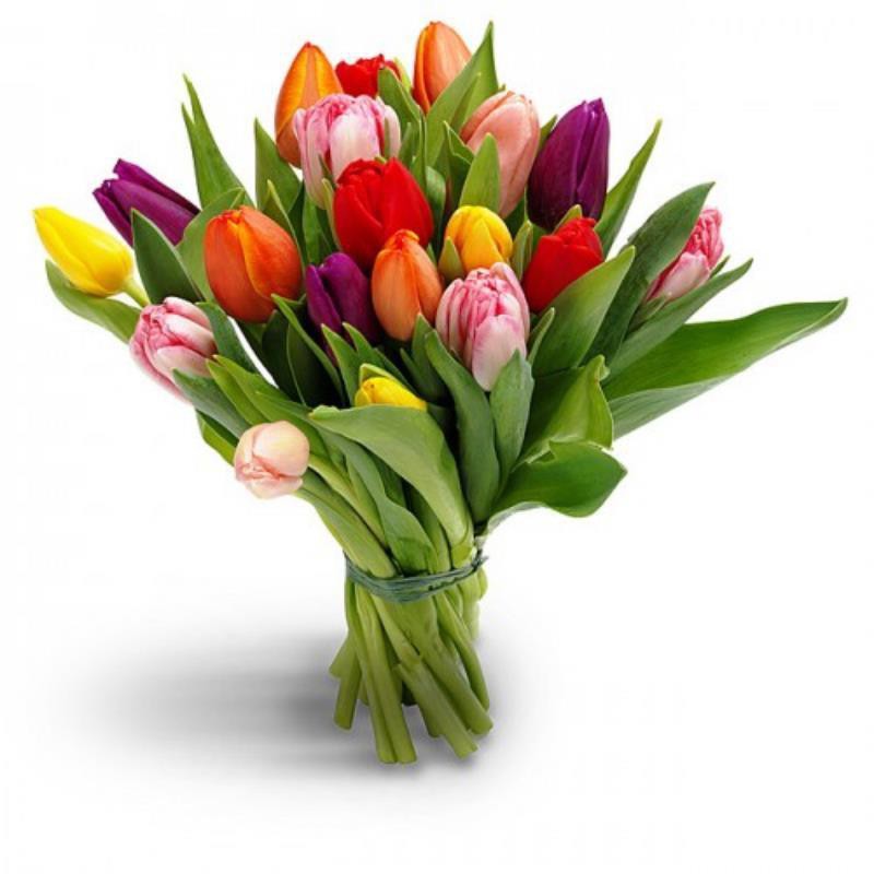 Букет и разноцветных тюльпанов