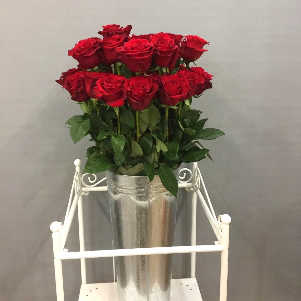 Красные розы высокие (70-80 см)