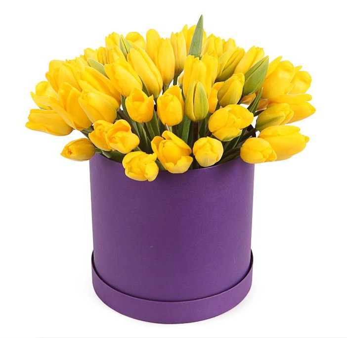 АКЦИЯ! 25 желтых тюльпанов в лиловой коробке