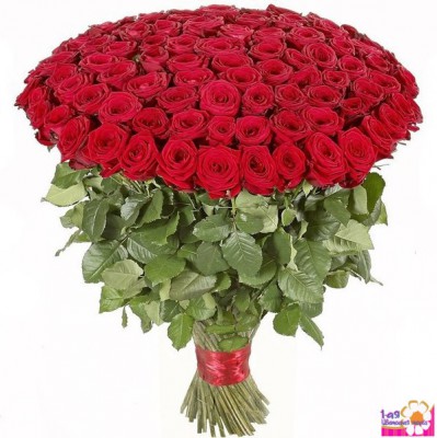Букет из 101 красной  розы (Эквадор, 50-60 см) - Доставка цветов в Екатеринбурге