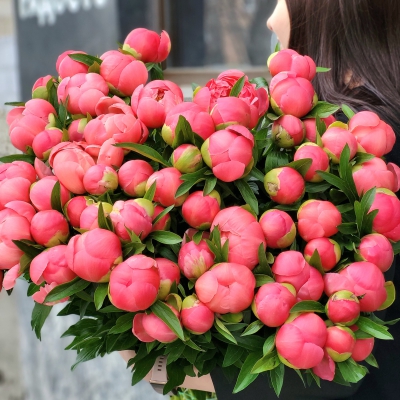 Пионы Корал Шарм - Доставка цветов в Екатеринбурге