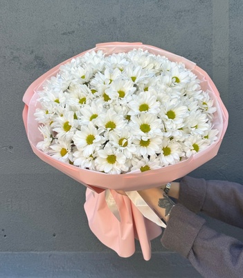 Акция.Букет из 15 белых ромашек - Доставка цветов в Екатеринбурге