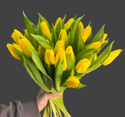 Букет из 25 желтых тюльпанов  - Доставка цветов в Екатеринбурге