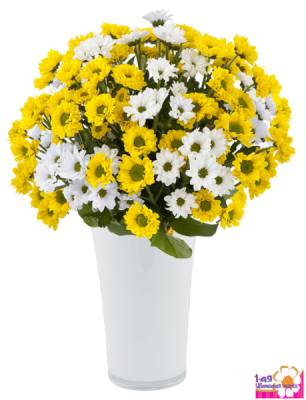 Ация.Букет из 15 белых и желтых хризантем - Доставка цветов в Екатеринбурге