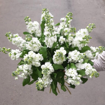 Букет "Кружево" - Доставка цветов в Екатеринбурге