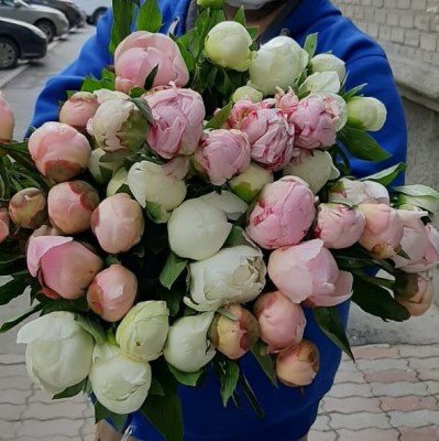 Пионы россыпью белого и розового цветов - Доставка цветов в Екатеринбурге