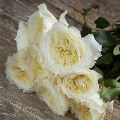 Розы пионовидные- белый цвет - Доставка цветов в Екатеринбурге