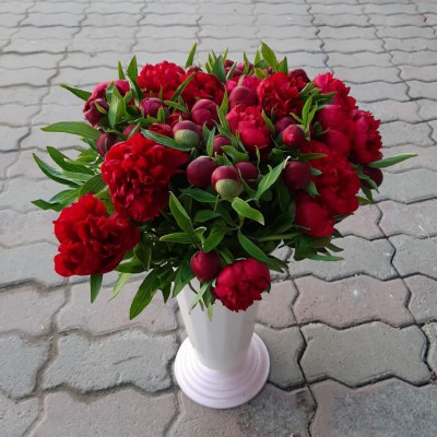 Пионы бордовые - Доставка цветов в Екатеринбурге