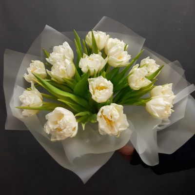 Букет из 15 белых пионовидных тюльпанов - Доставка цветов в Екатеринбурге
