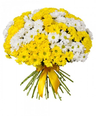 Букет из 25 разноцветных хризантем - Доставка цветов в Екатеринбурге