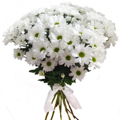 Букет из 9 белых хризантем-ромашек - Доставка цветов в Екатеринбурге