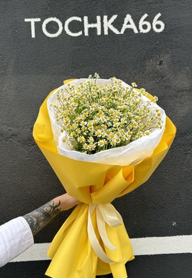 Акция. Букет из 15 кустовых ромашек ( Матрикария ) - Доставка цветов в Екатеринбурге