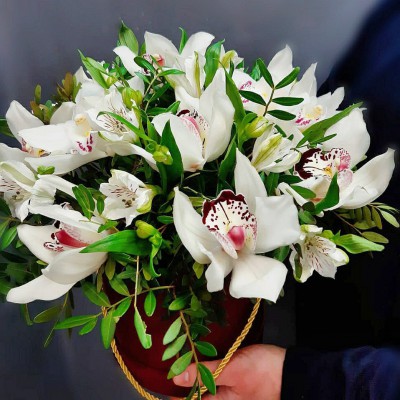 Парад орхидей - Доставка цветов в Екатеринбурге
