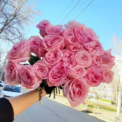 Роза пионовидная Пинк Охара - Доставка цветов в Екатеринбурге