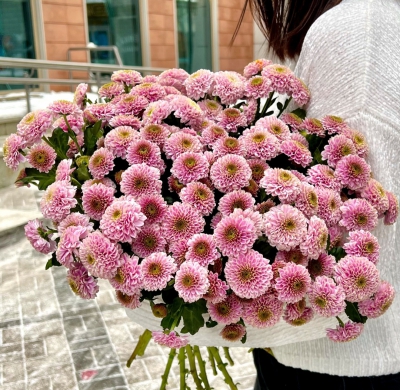 Хризантема кустовая Сантини Rose Pink - Доставка цветов в Екатеринбурге
