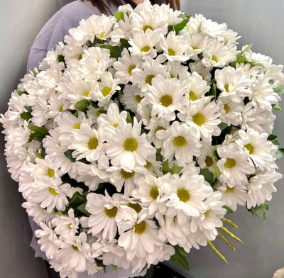 Хризантема кустовая Bacardi - Доставка цветов в Екатеринбурге