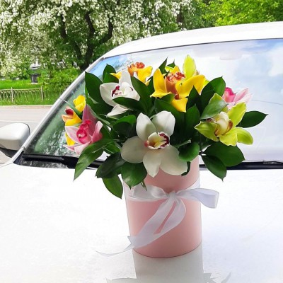 Шляпная коробка с разноцветными орхидеями - Доставка цветов в Екатеринбурге