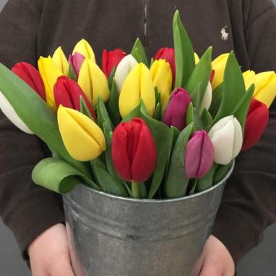  Тюльпаны разных цветов - Доставка цветов в Екатеринбурге