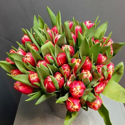 Тюльпан пионовидный красный - Доставка цветов в Екатеринбурге