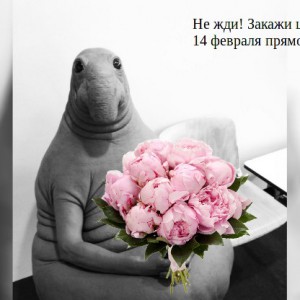 ЦВЕТУН - Доставка цветов в Екатеринбурге